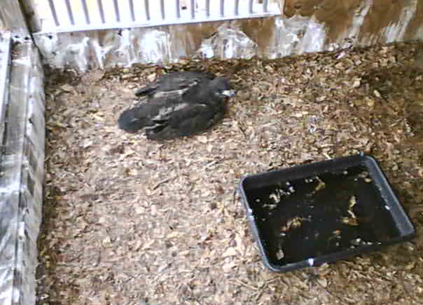 2010-04-14_174223.jpg