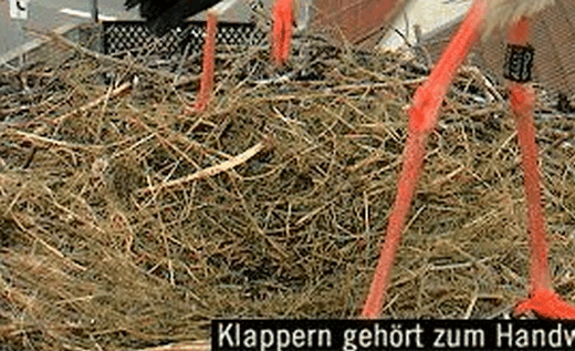 2009-05-17_210910.gif