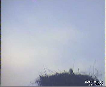 2010-04-15_054655.jpg