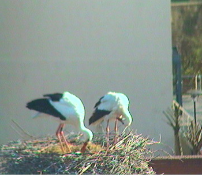 2010-04-15_171951.png