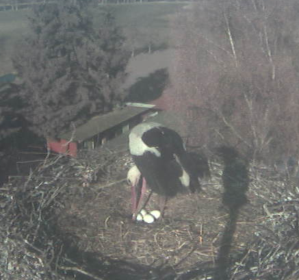 2010-04-15_172803.png