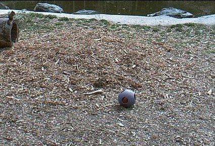 2010-04-15_202942.jpg
