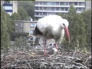 beleef de lente1.jpg