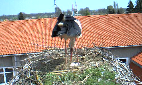 2010-04-18_134407.png