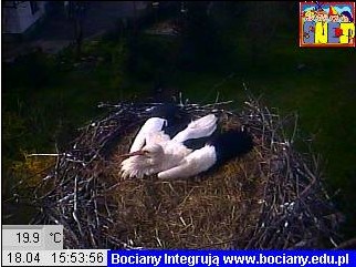 2010-04-18_155359.jpg