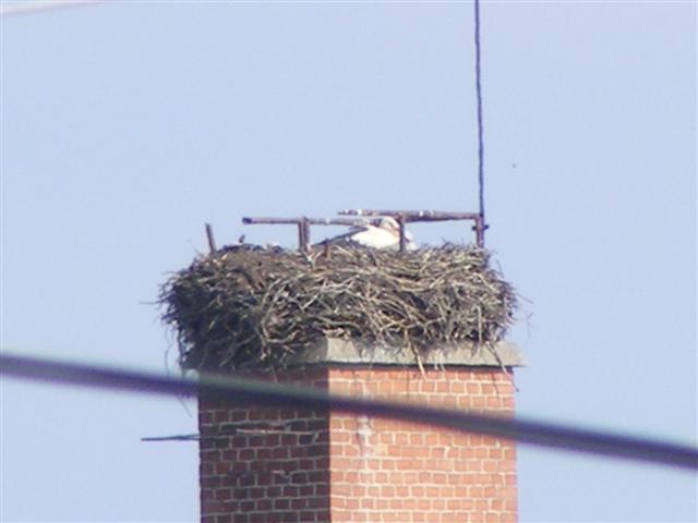 DSCF9250 (Small).JPG