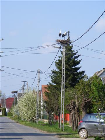 DSCF9258 (Small).JPG