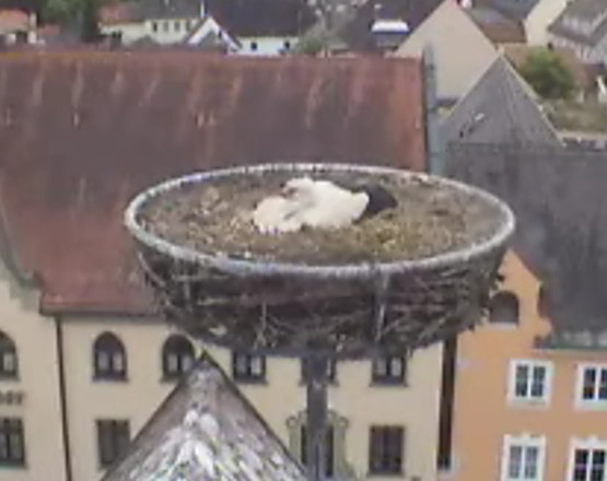 Schrobenhausen1.jpg
