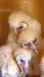 2010-04-19_202328.jpg