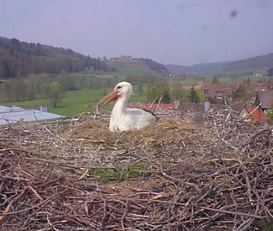 2010-04-20_135534.png