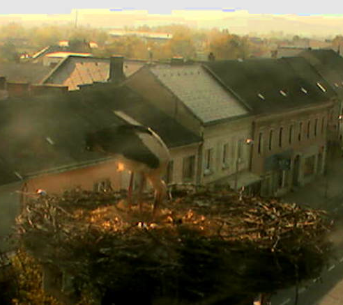 2010-04-20_165700.png