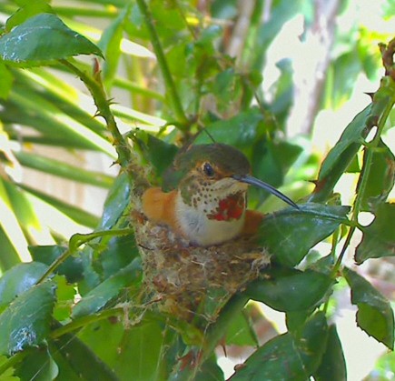 2010-04-20_212839.jpg