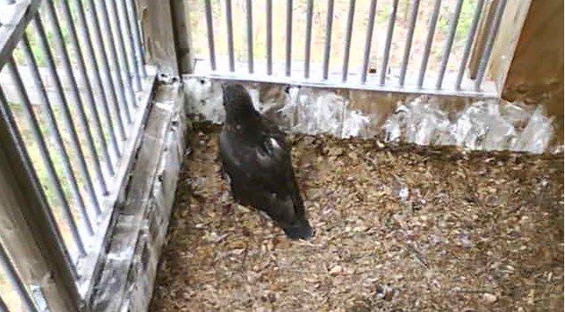 2010-04-20_222154.jpg