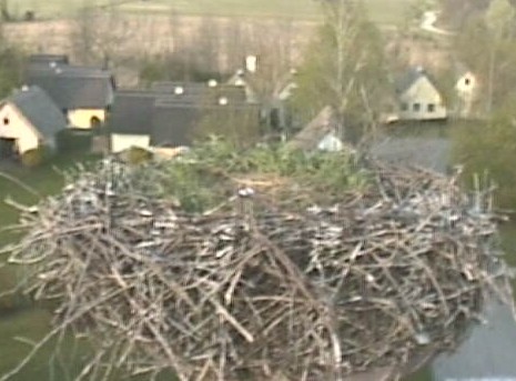 2010-04-22_070437.jpg