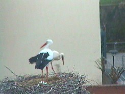 2010-04-22_071548.jpg