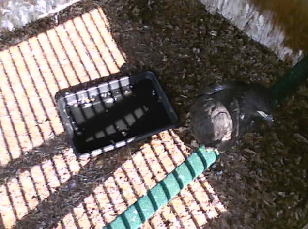 2010-04-22_161224.jpg