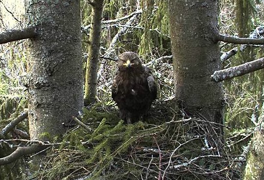 2010-04-22_191107.jpg