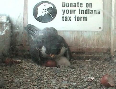 2010-04-22_210429.jpg