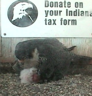 2010-04-22_215058.jpg