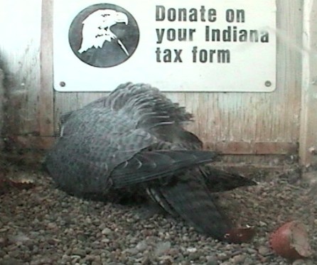 2010-04-22_220306.jpg