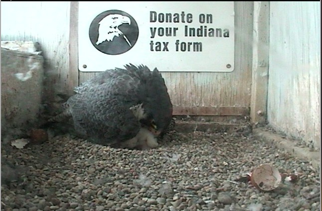 2010-04-23_003957.jpg