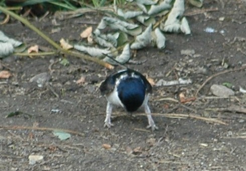 2010-04-23_201247.jpg