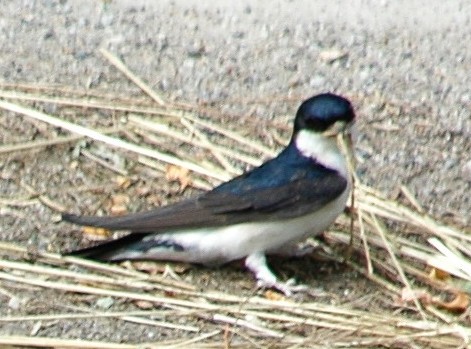 2010-04-23_201316.jpg