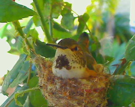 2010-04-23_203041.jpg