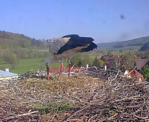 2010-04-24_102128.png
