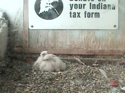 2010-04-24_200451.jpg