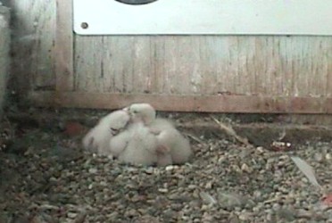 2010-04-24_200337.jpg