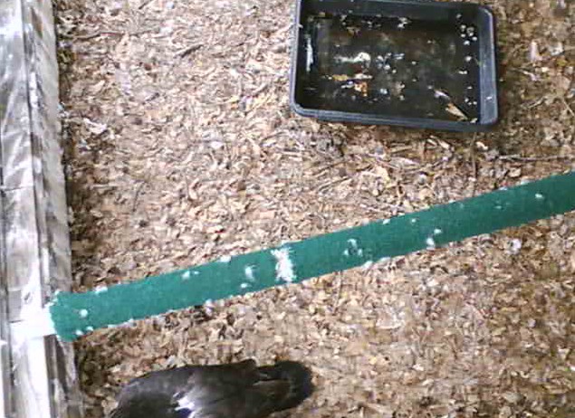 2010-04-24_202102.jpg