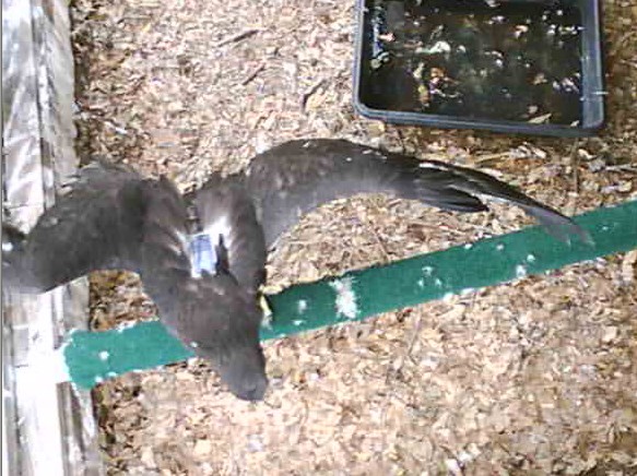 2010-04-24_202507.jpg