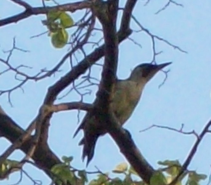 2010-04-25_074323.jpg