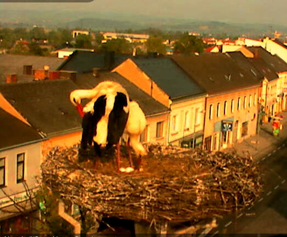 2010-04-25_075838.png