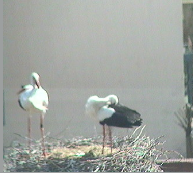 2010-04-25_154653.png