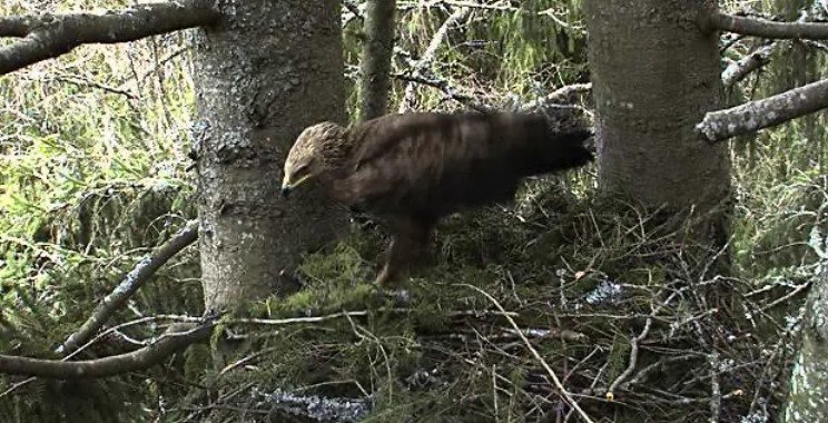 2010-04-25_155039.jpg
