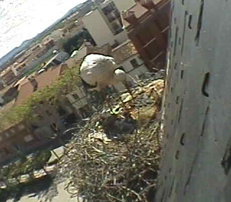 2010-04-25_155938.png