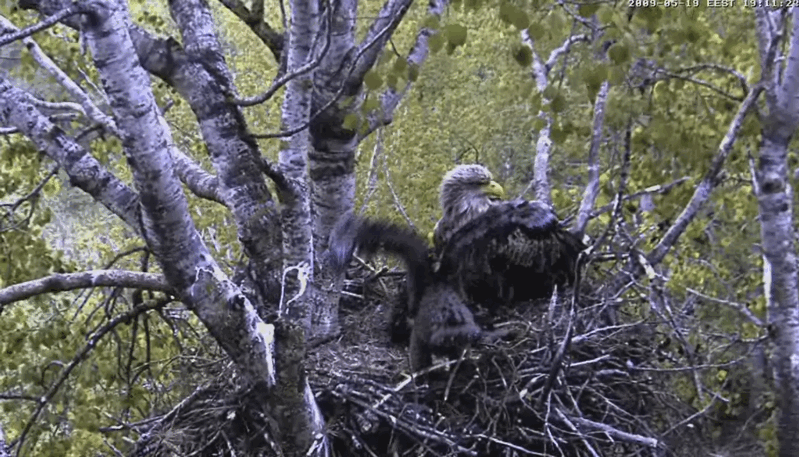 2009-05-19_193924.gif