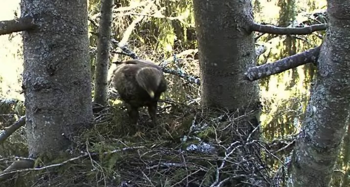 2010-04-26_080912.jpg