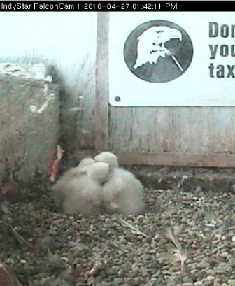 2010-04-27_194447.jpg
