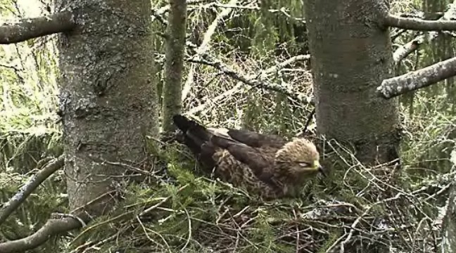 2010-04-28_064112.jpg
