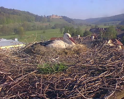 2010-04-28_081548.jpg