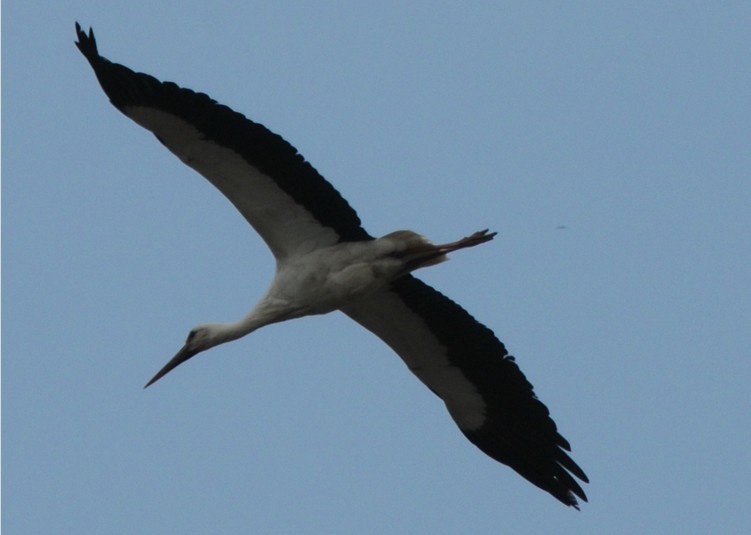 2010-04-28_202026.jpg