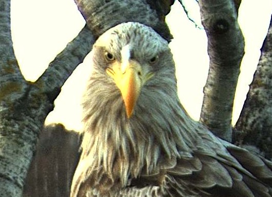 2010-04-28_202534.jpg