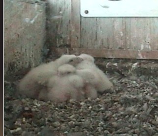 2010-04-29_210452.jpg