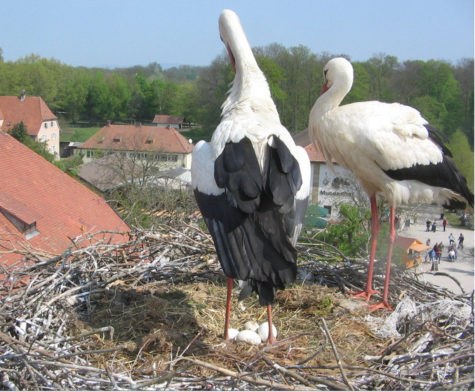 2010-04-29_215014.jpg