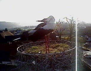 2010-04-30_073057.jpg