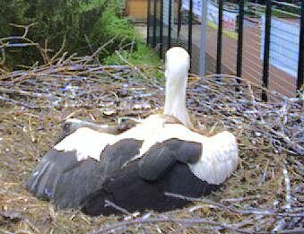 2010-04-30_073444.jpg