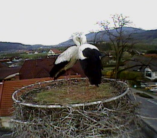 2010-04-30_180108.jpg